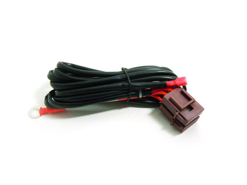 Ballast 12V 55W Premium CANBUS Slim Snabbstart - Bilupplysningen