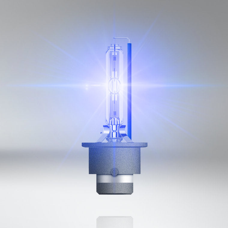 D4S Osram Xenarc Cool Blue Boost 2-Pack - Bilupplysningen