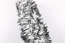 Puhtain mikrokuituinen vanneharja