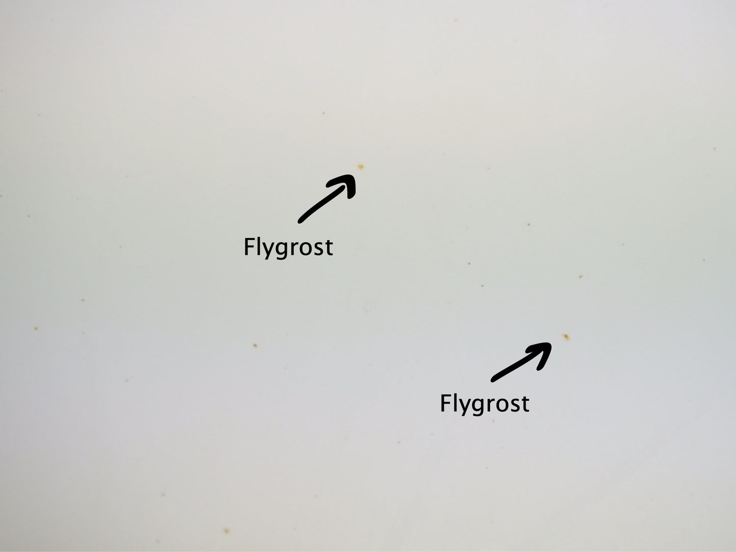Pureest W1 Fälg- och Flygrostborttagare – 500 ml spray - Bilupplysningen