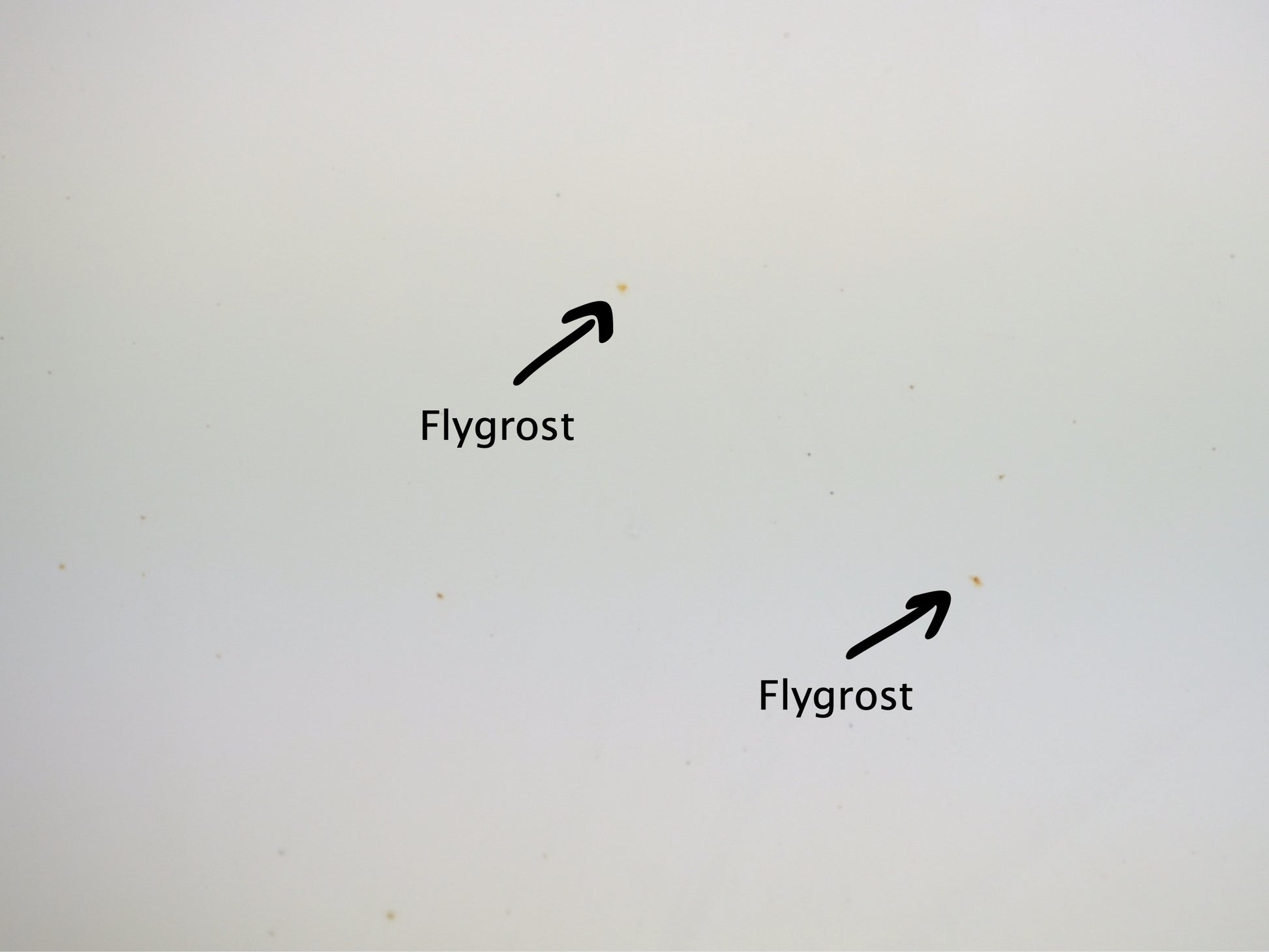 Pureest W1 Fälg- och Flygrostborttagare – 500 ml spray - Bilupplysningen